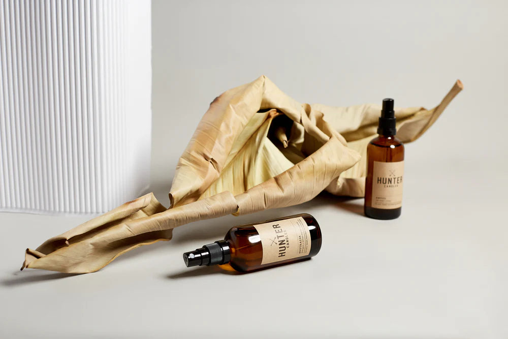 The Haze- Tasmanian Creek