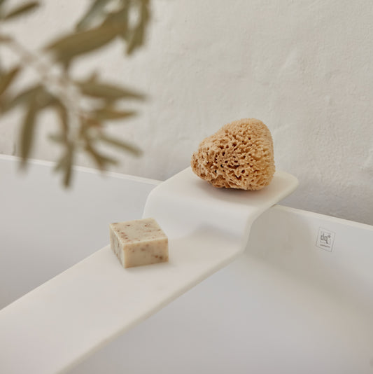 Mediterranean Sea Sponge