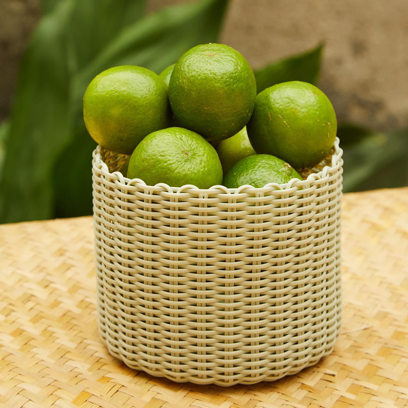 Pot, Extra Small- Palm