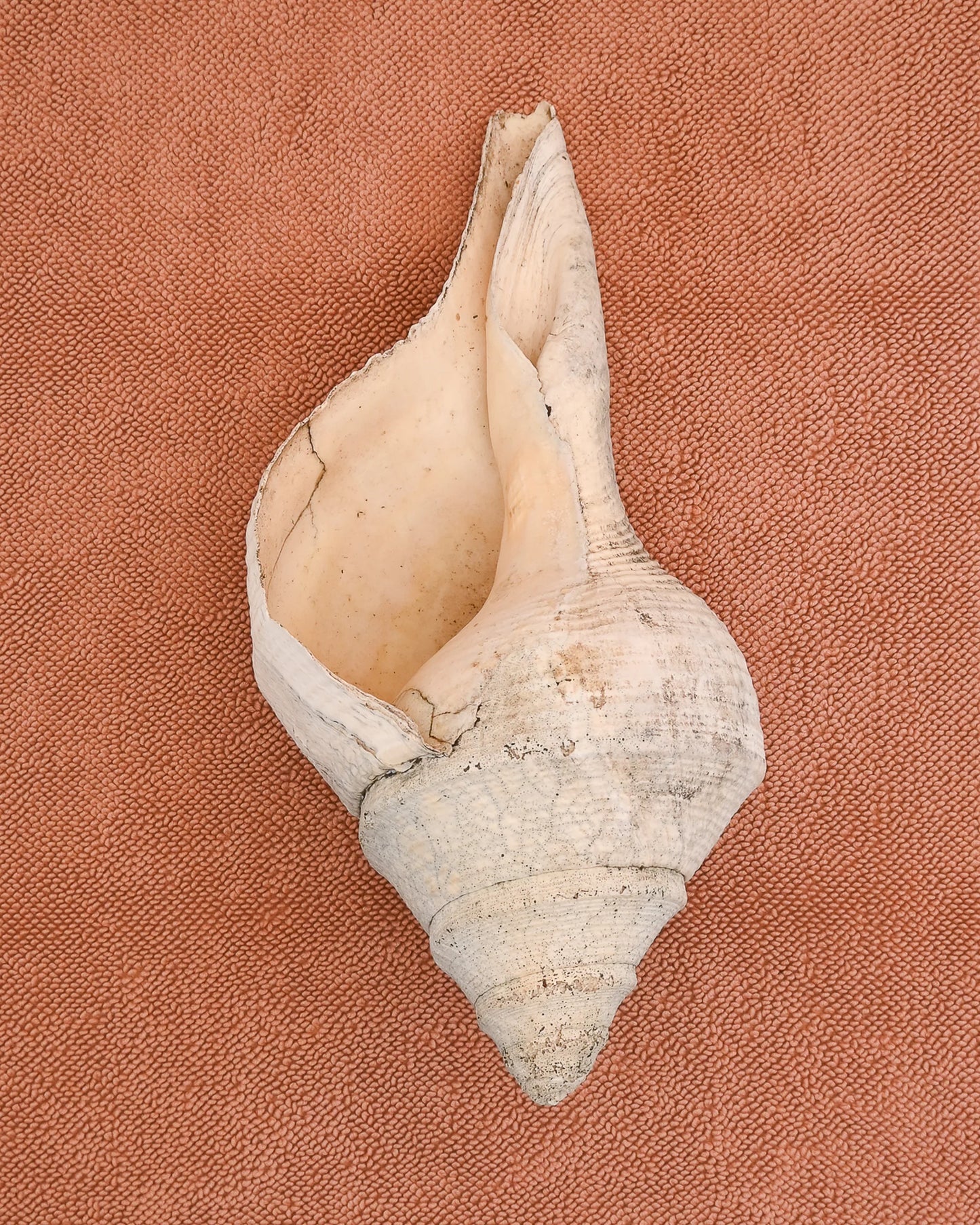 Clay Bath Mat